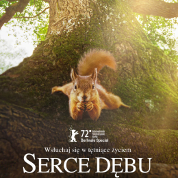 Serce dębu